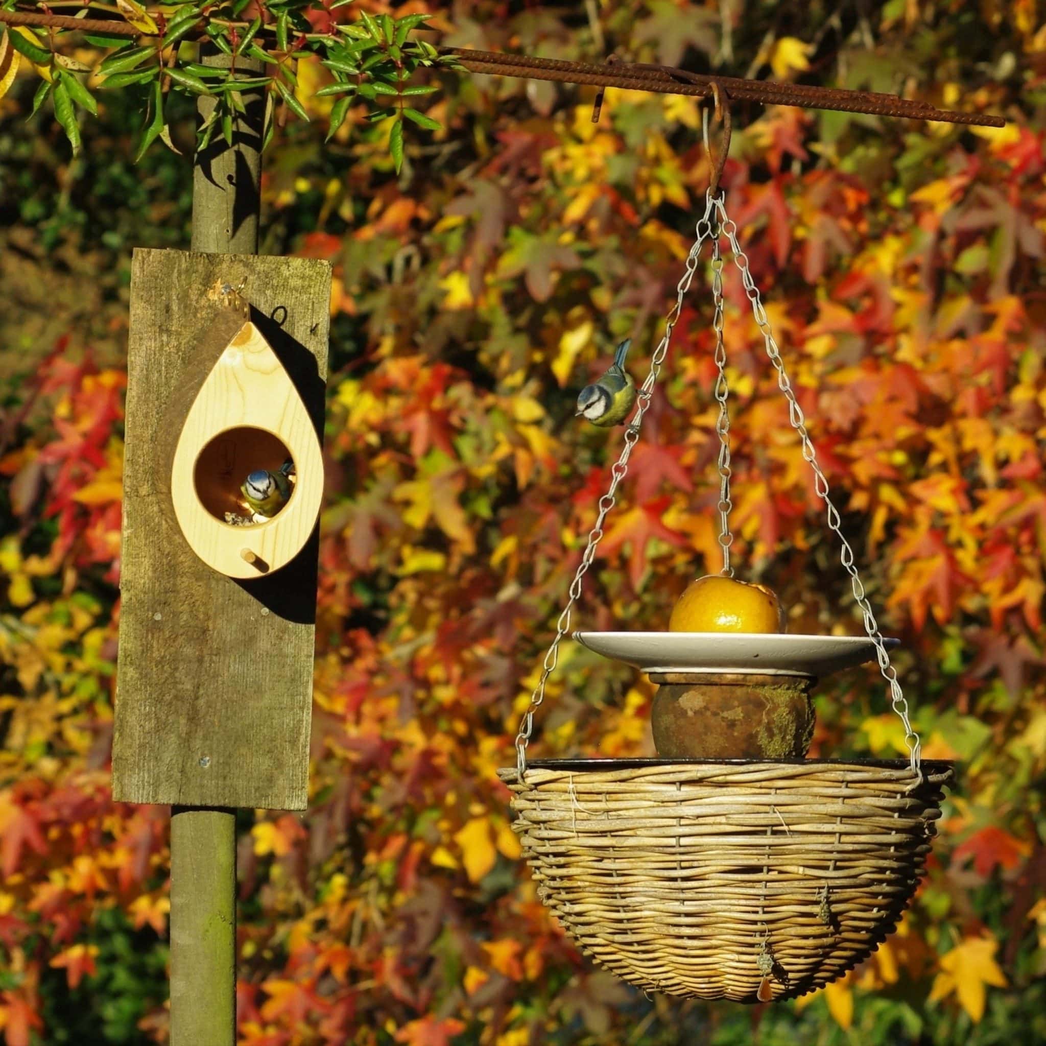 Mangeoire à oiseaux moderneen bois et cuivre